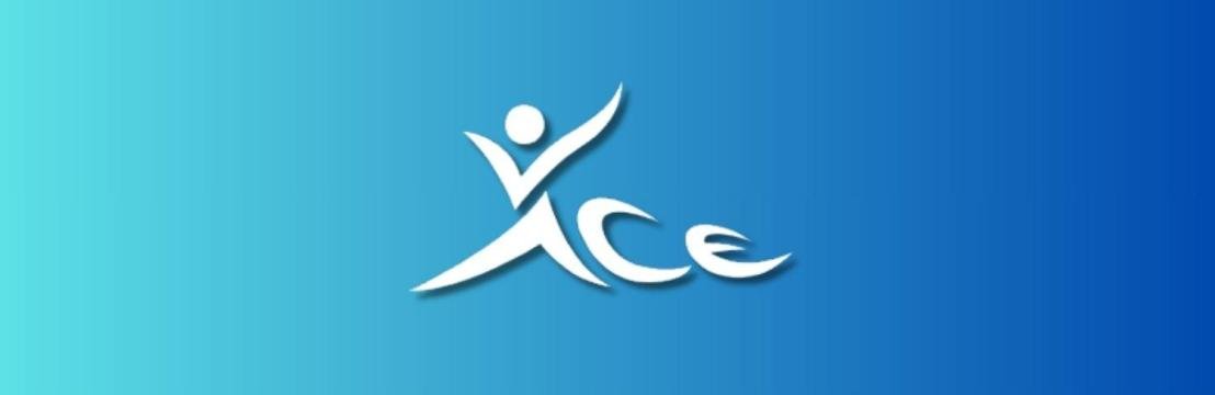 Ace Volleyball Academy